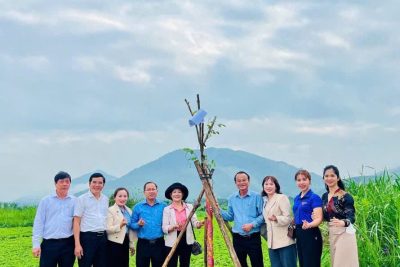 HƯỞNG ỨNG TẾT TRỒNG CÂY XUÂN BÍNH NGỌ 2026